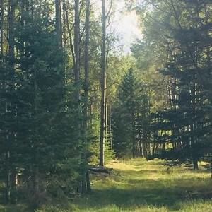 Meet your Posher, Sherryll